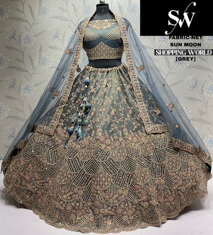 Gajri pink Net Lehenga - Shopping World