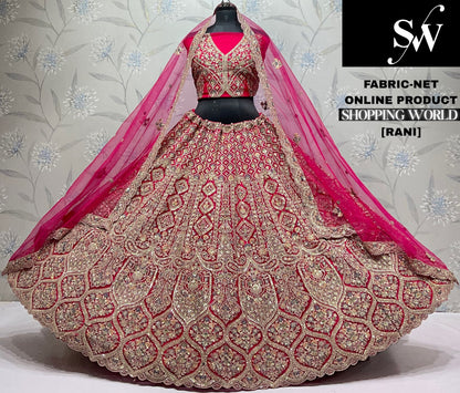 Sky Blue Net Lehenga - Shopping World