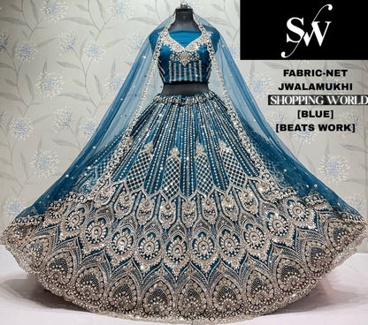 Sky Blue Net Lehenga