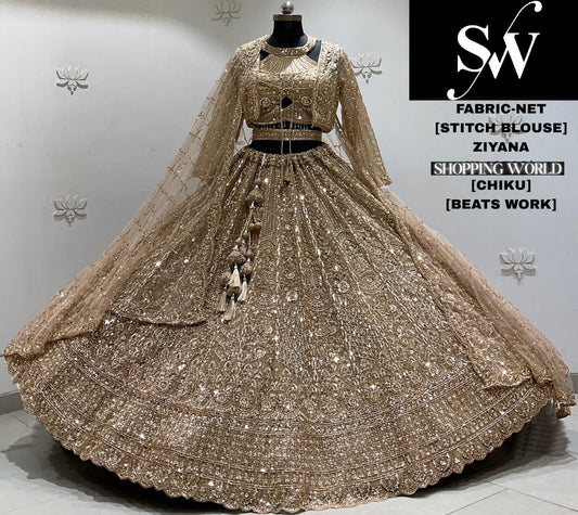 Rani pink net crop top Lehenga