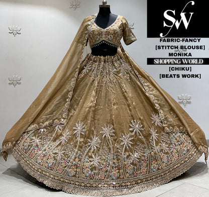 Brown fancy Crop top Lehenga