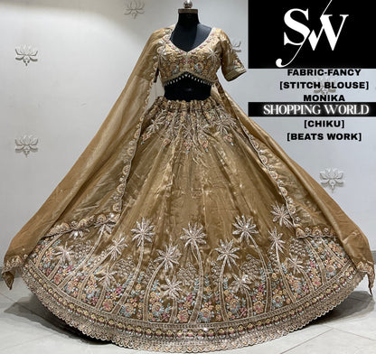 Brown fancy Lehenga