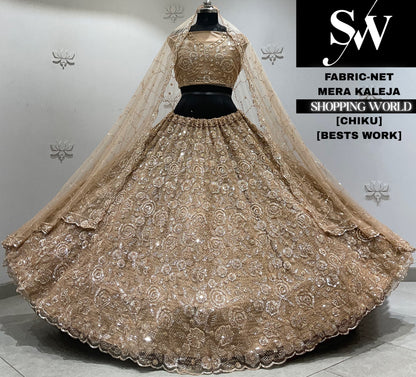 Rani pink net Lehenga