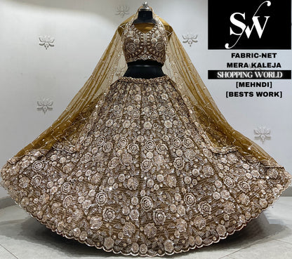 Rani pink net Lehenga