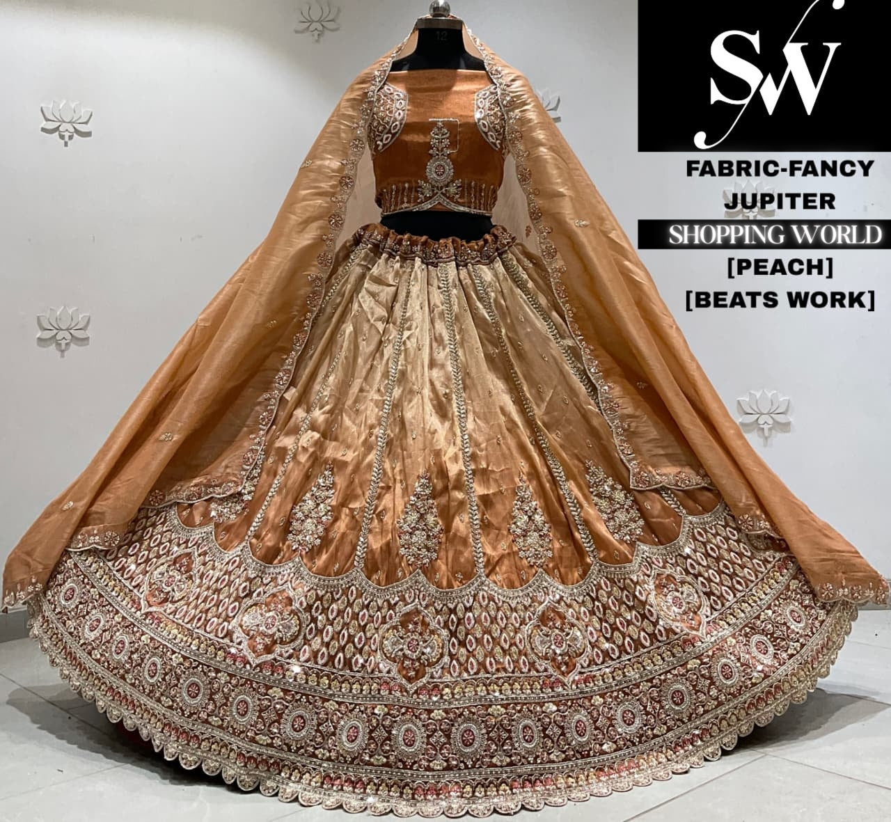 Brick pink fancy Lehenga