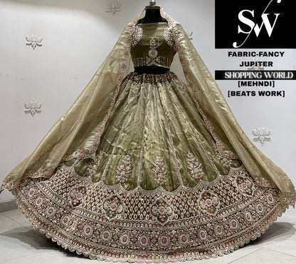 Brick pink fancy Lehenga