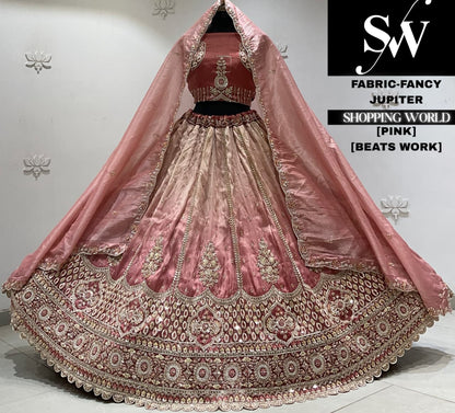 Brick pink fancy Lehenga
