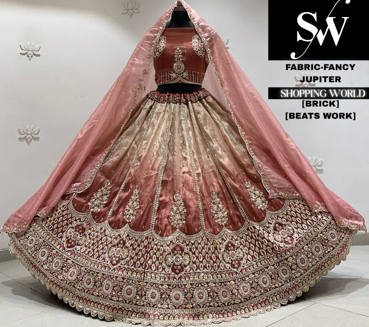 Brick pink fancy Lehenga