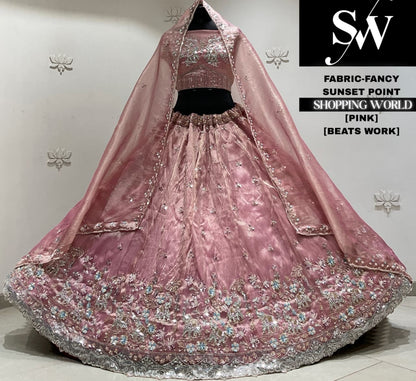 Pink net Lehenga