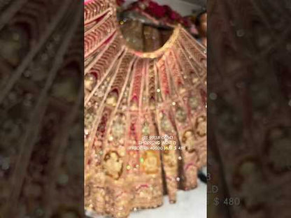 Extraordinary pink Lehenga