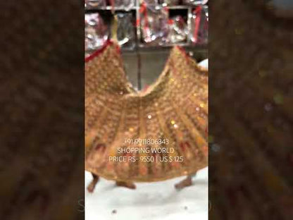 Fabulous Red Lehenga  ❤️