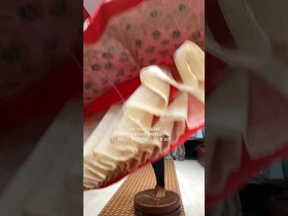 Stunning Red Lehenga