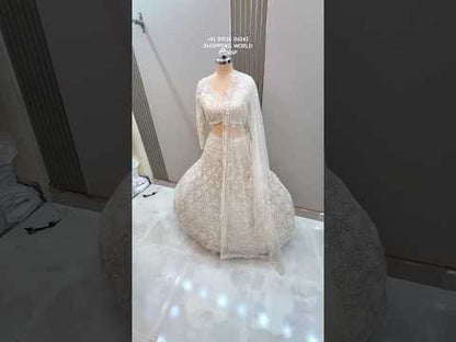 Elegant White on White  Monotone Crop top Lehenga