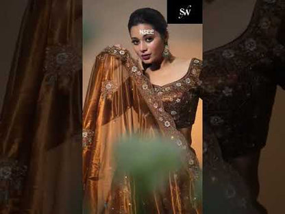 Awesome Brown Twill Net Lehenga