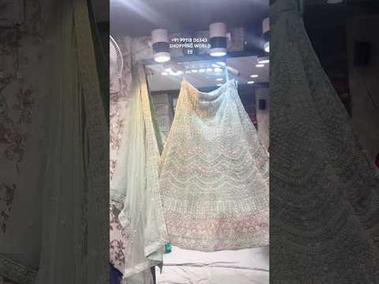 Pretty green crop top Lehenga