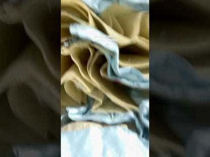 Something different blue Lehenga