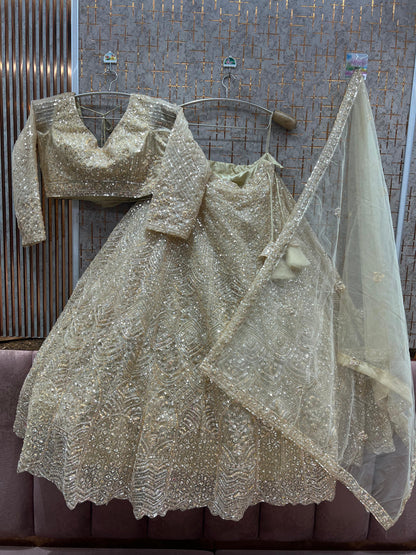 Good looking Hot Pink crop top Lehenga