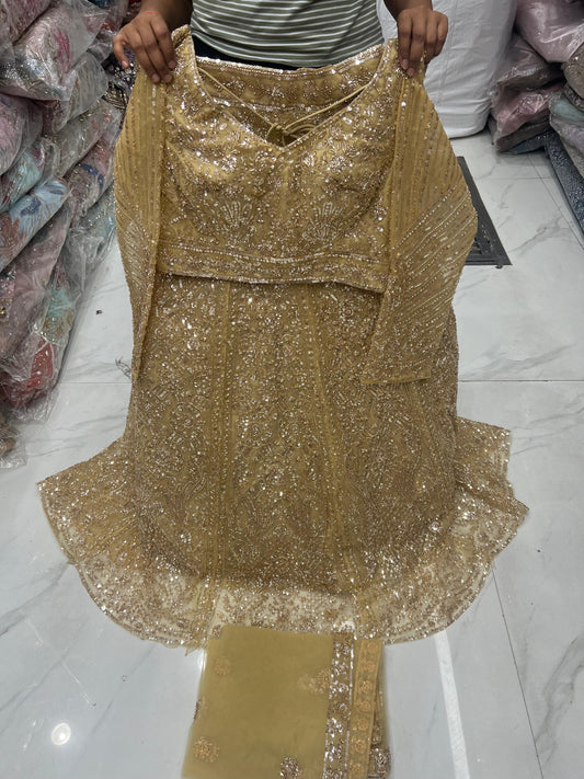 Chiku Golden Crop Top Lehenga