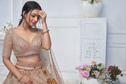 Lovely light golden brown Lehenga