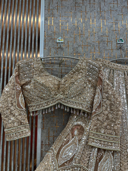 Double shade Beige golden Peacock Crop Top Lehenga