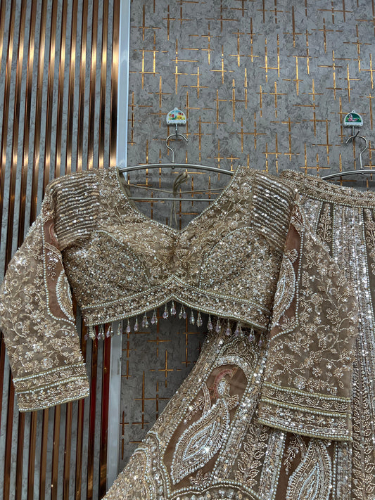 Double shade Beige golden Peacock Crop Top Lehenga