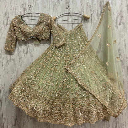 Fantastic green crop top Lehenga